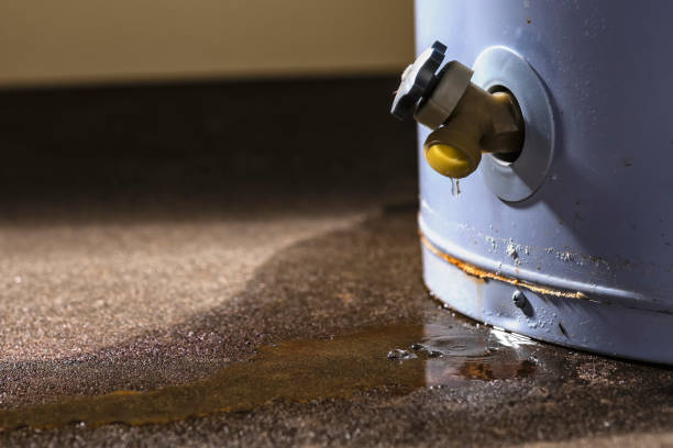 Best Emergency water damage restoration  in Ocala, FL