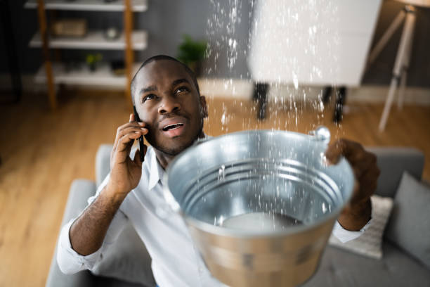 Best Carpet water damage restoration  in Ocala, FL