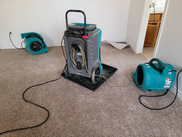 Best Sewage cleanup and water damage restoration  in Ocala, FL