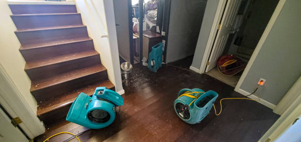 Best Water damage contractors near me  in Ocala, FL