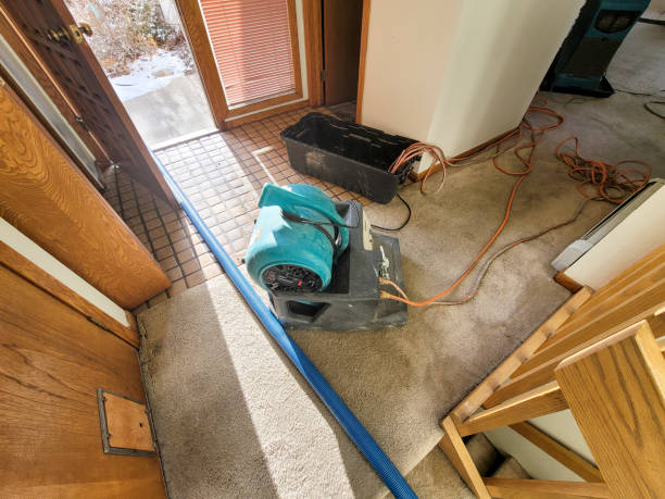 Best Local water damage restoration  in Ocala, FL