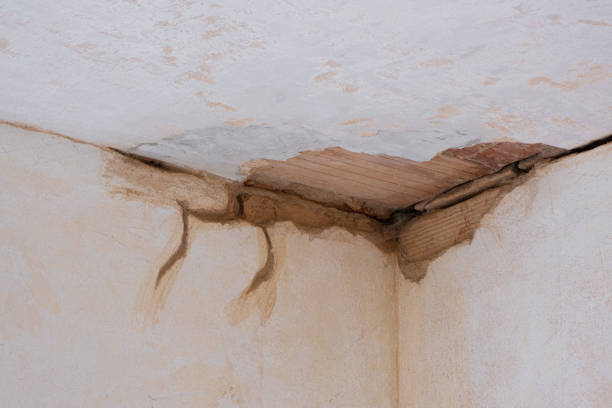 Best Water damage restoration near me  in Ocala, FL