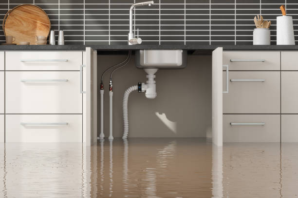 Best Water damage restoration near me  in Ocala, FL