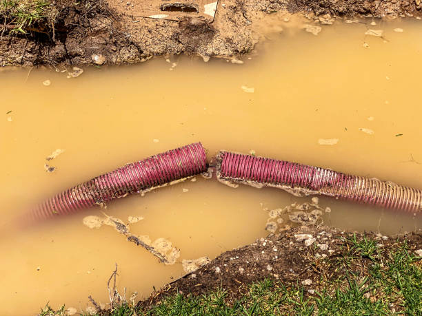 Best Professional water damage repair  in Ocala, FL