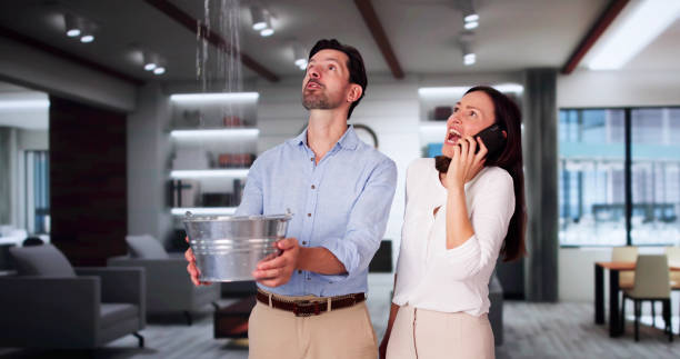 Best Water damage cleanup near me  in Ocala, FL